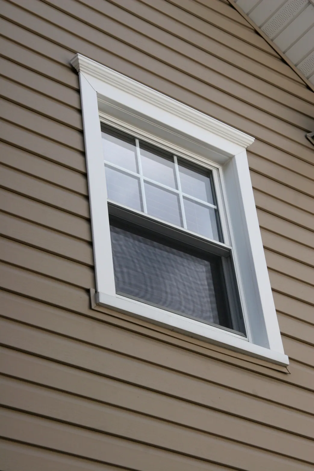 A double-hung window with white trim is centered on a beige house with horizontal siding, viewed from a low angle. The scene is calm and orderly.